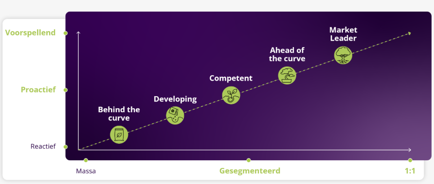 Vergroten van marketing maturity