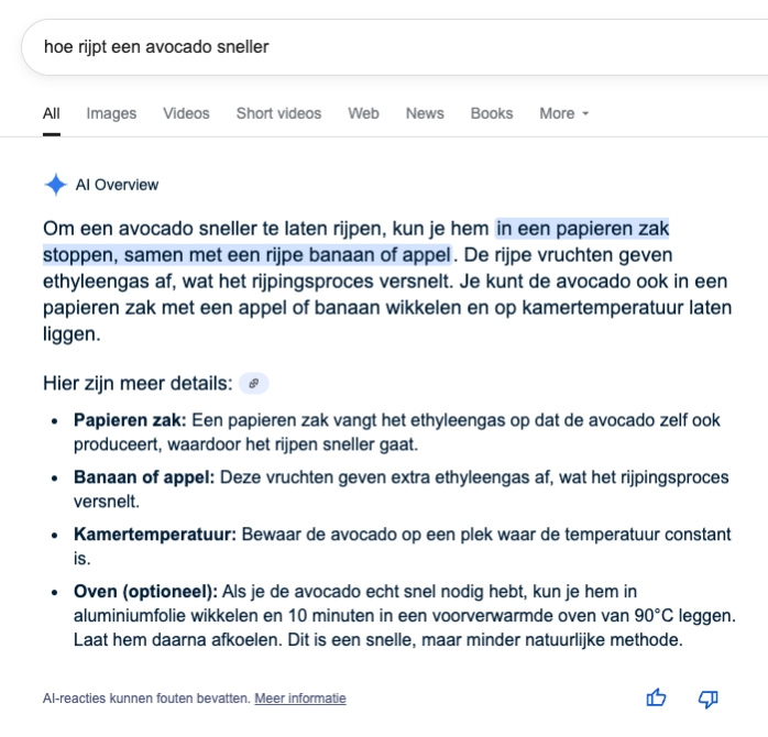 AI overview voorbeeld